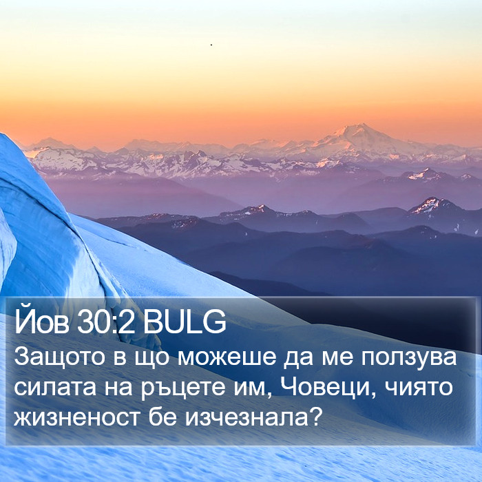 Йов 30:2 BULG Bible Study