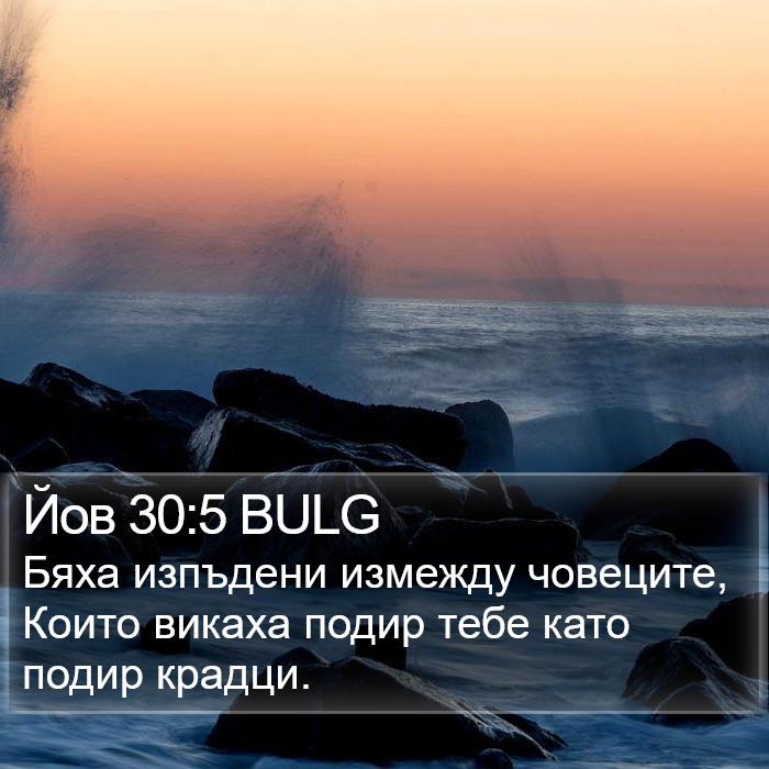 Йов 30:5 BULG Bible Study