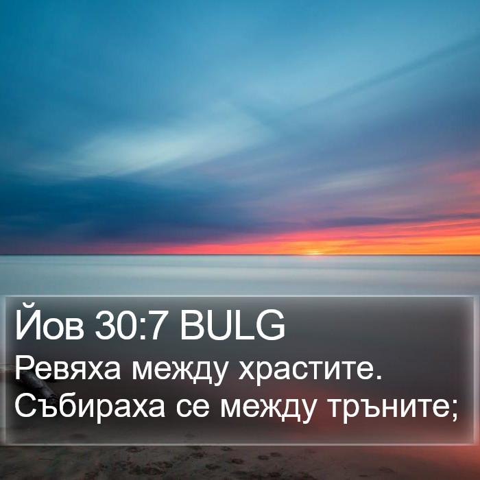 Йов 30:7 BULG Bible Study