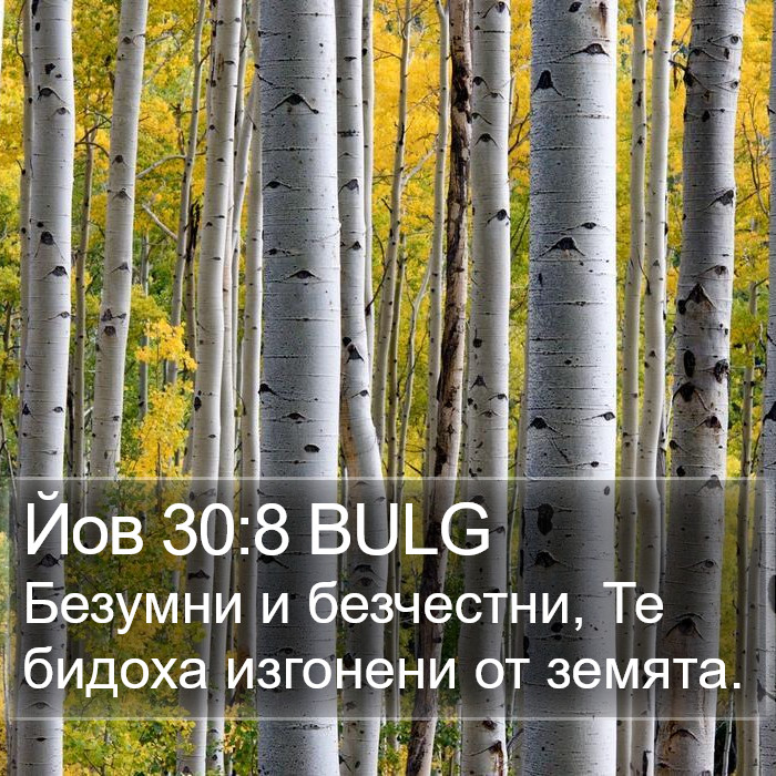 Йов 30:8 BULG Bible Study