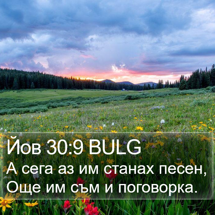 Йов 30:9 BULG Bible Study