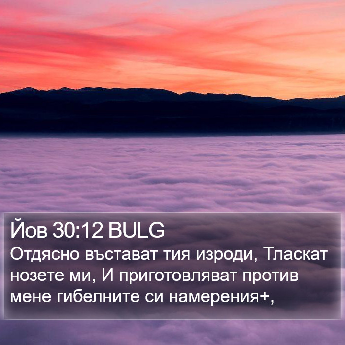 Йов 30:12 BULG Bible Study