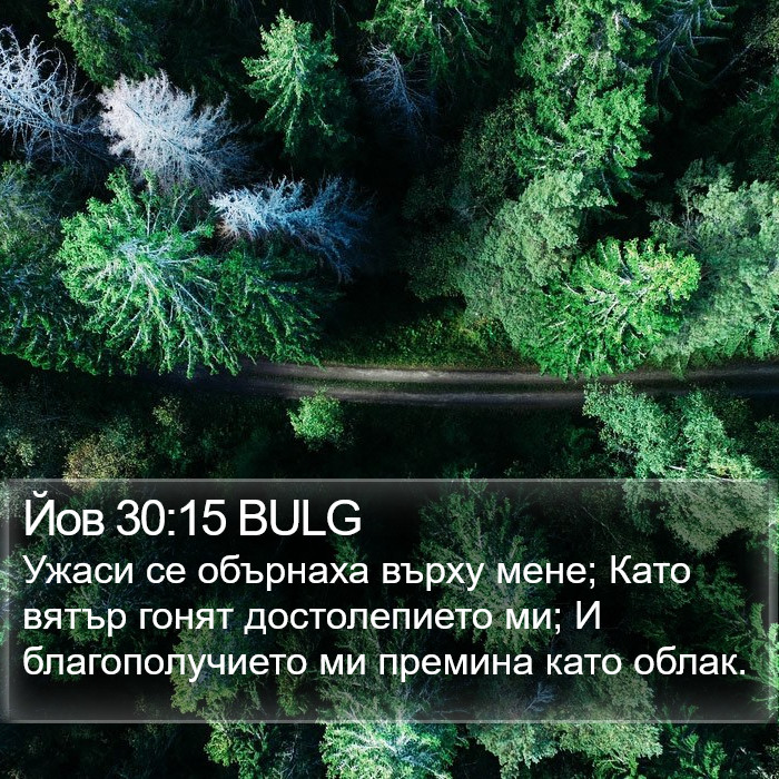 Йов 30:15 BULG Bible Study