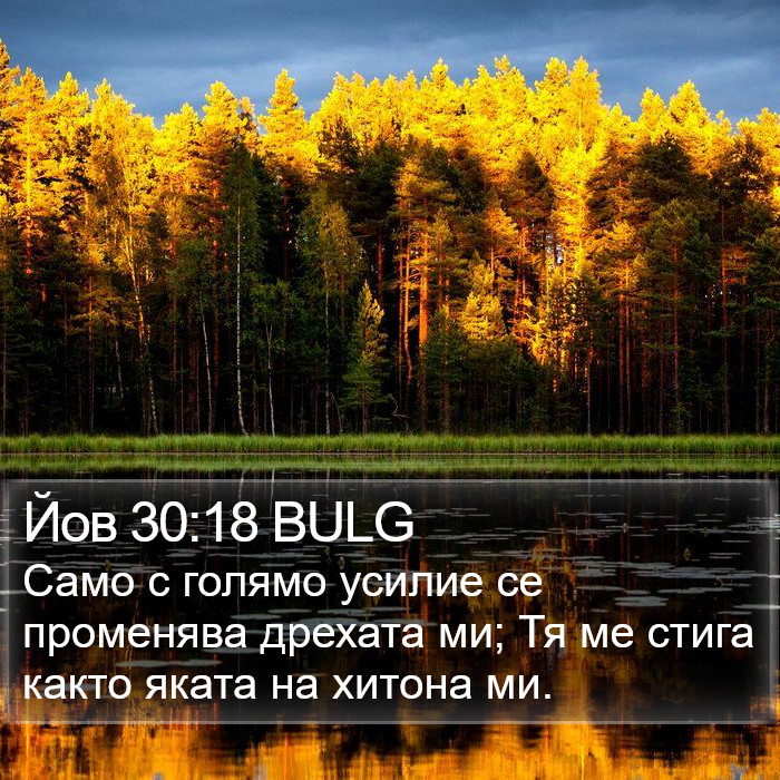 Йов 30:18 BULG Bible Study