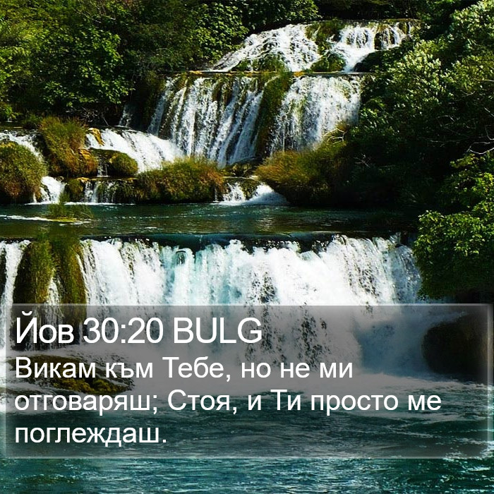 Йов 30:20 BULG Bible Study