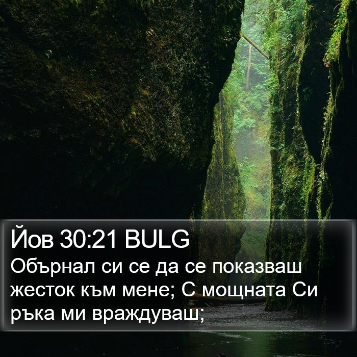 Йов 30:21 BULG Bible Study