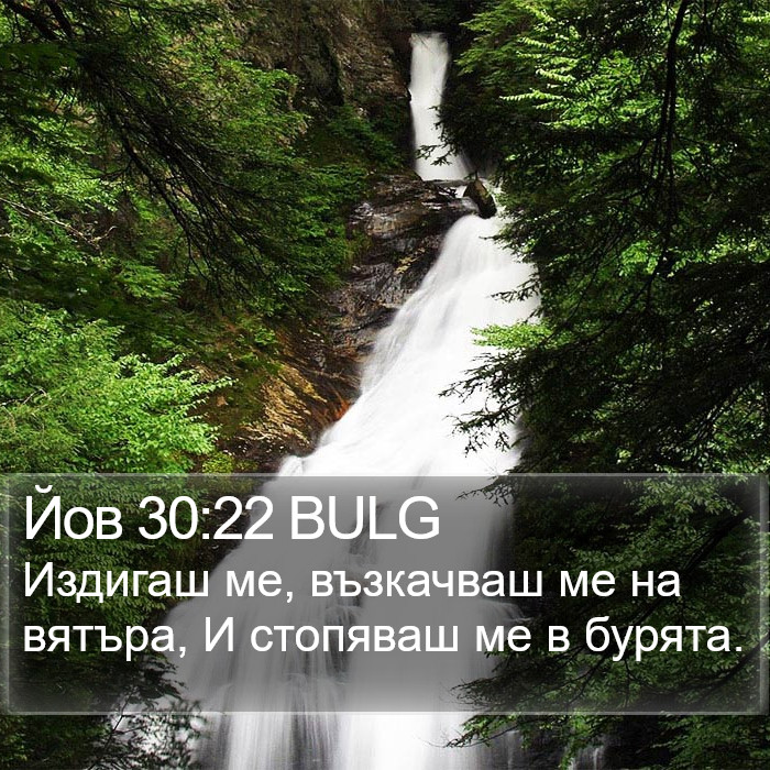 Йов 30:22 BULG Bible Study