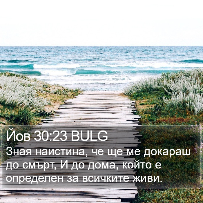 Йов 30:23 BULG Bible Study