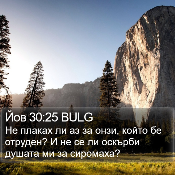 Йов 30:25 BULG Bible Study