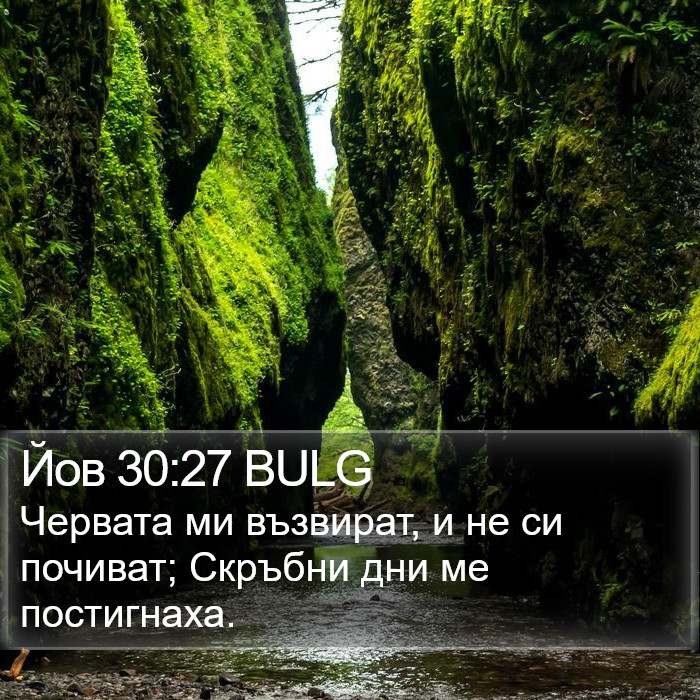 Йов 30:27 BULG Bible Study