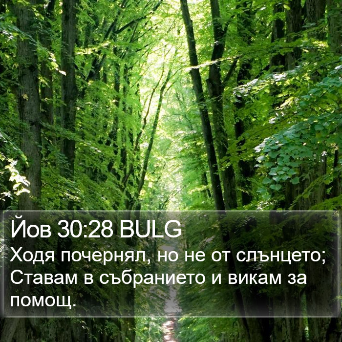 Йов 30:28 BULG Bible Study