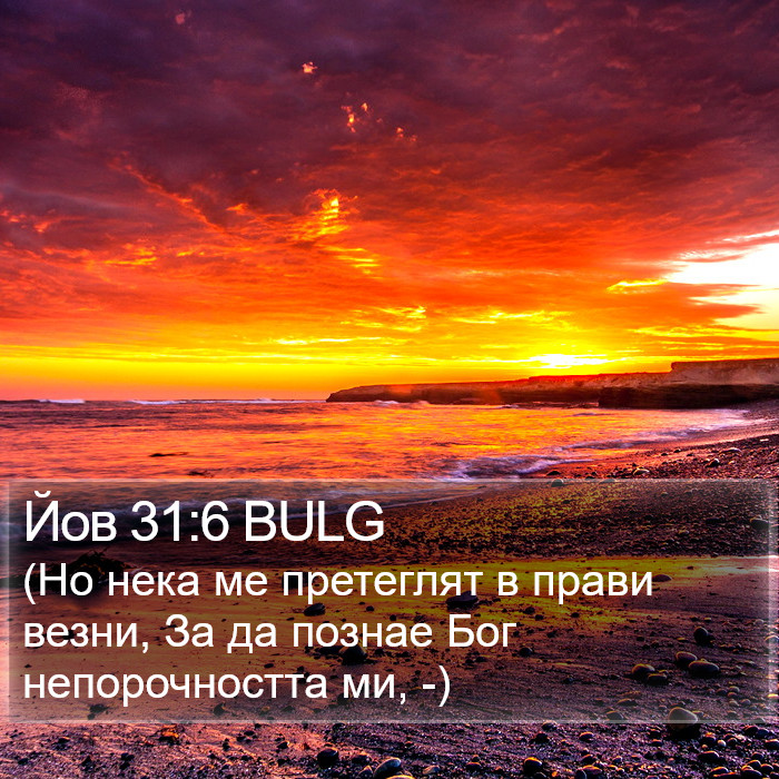 Йов 31:6 BULG Bible Study