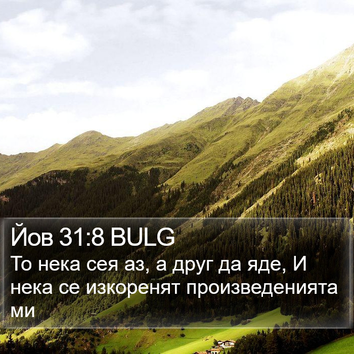 Йов 31:8 BULG Bible Study