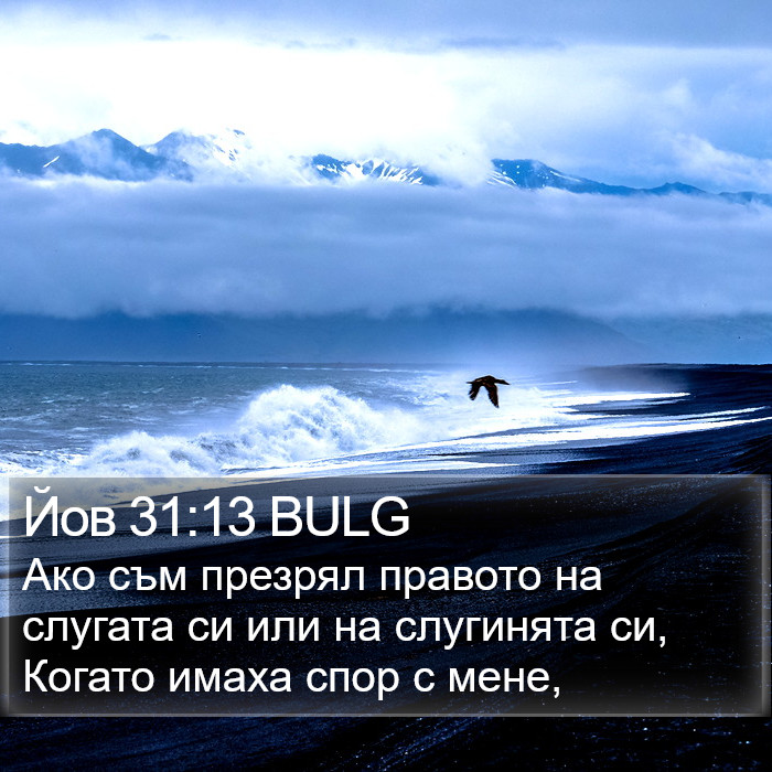 Йов 31:13 BULG Bible Study