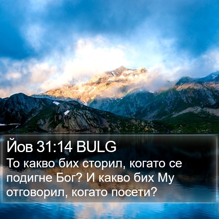 Йов 31:14 BULG Bible Study