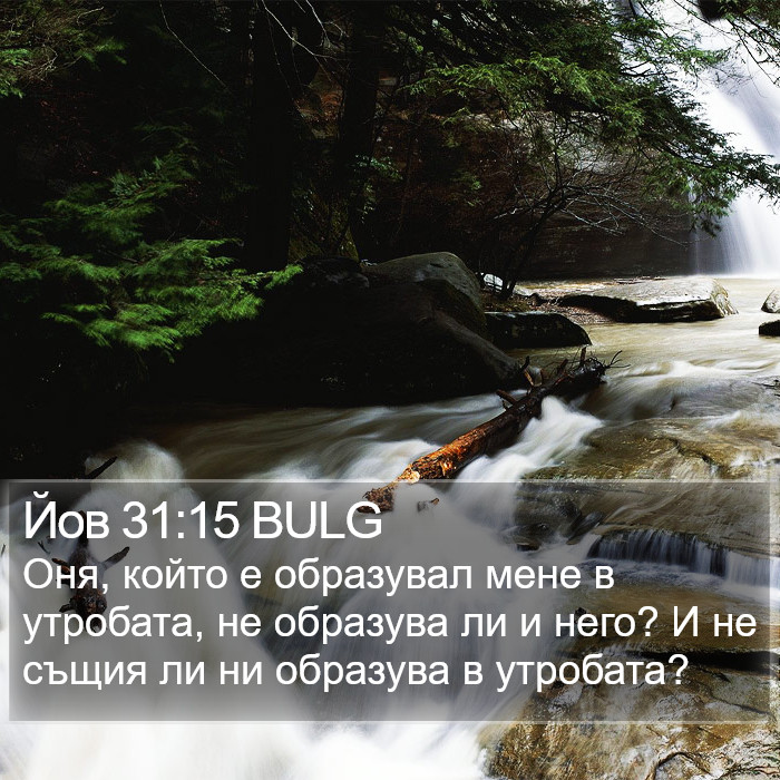 Йов 31:15 BULG Bible Study