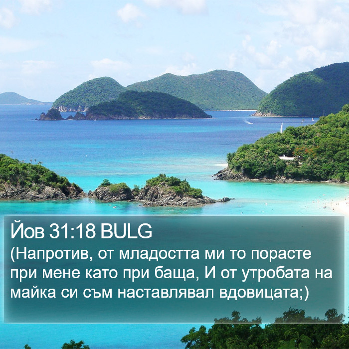 Йов 31:18 BULG Bible Study