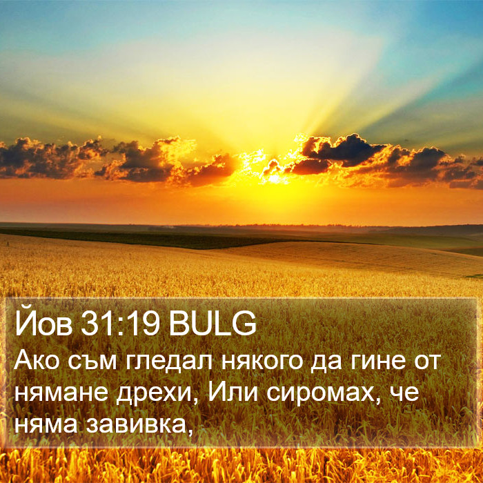 Йов 31:19 BULG Bible Study