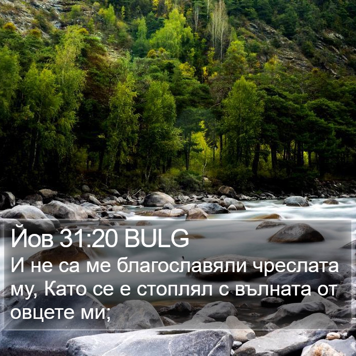 Йов 31:20 BULG Bible Study