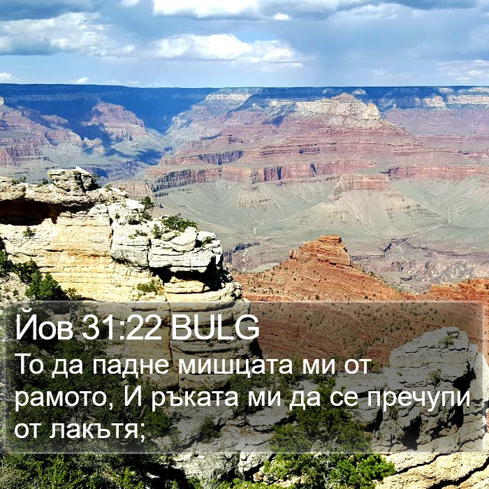 Йов 31:22 BULG Bible Study