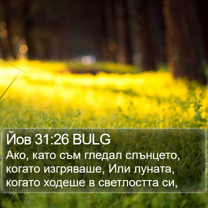 Йов 31:26 BULG Bible Study