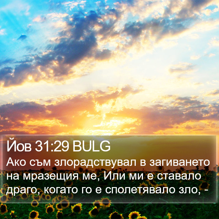 Йов 31:29 BULG Bible Study