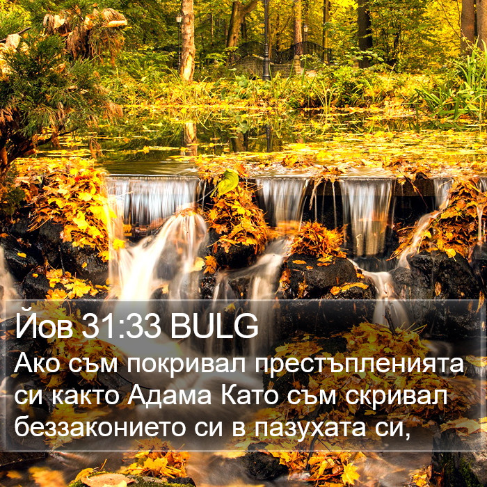 Йов 31:33 BULG Bible Study