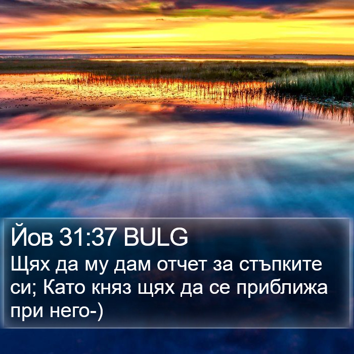 Йов 31:37 BULG Bible Study