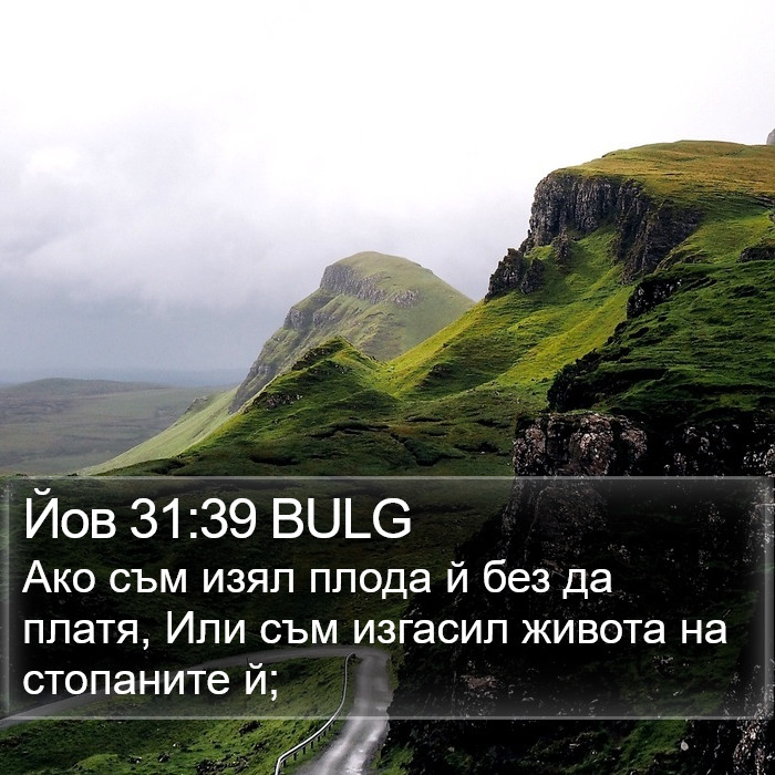 Йов 31:39 BULG Bible Study