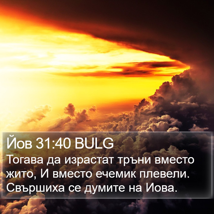 Йов 31:40 BULG Bible Study