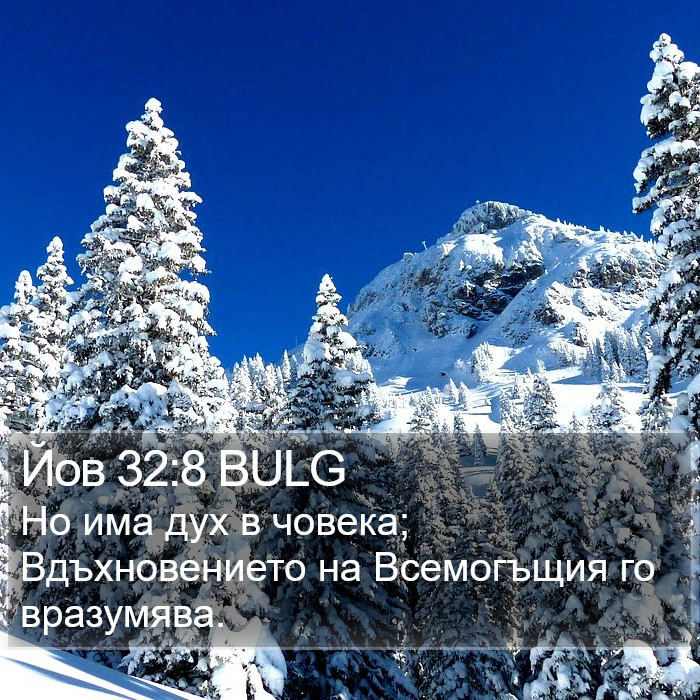 Йов 32:8 BULG Bible Study