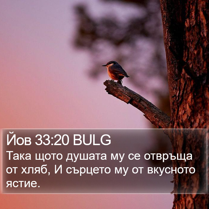 Йов 33:20 BULG Bible Study