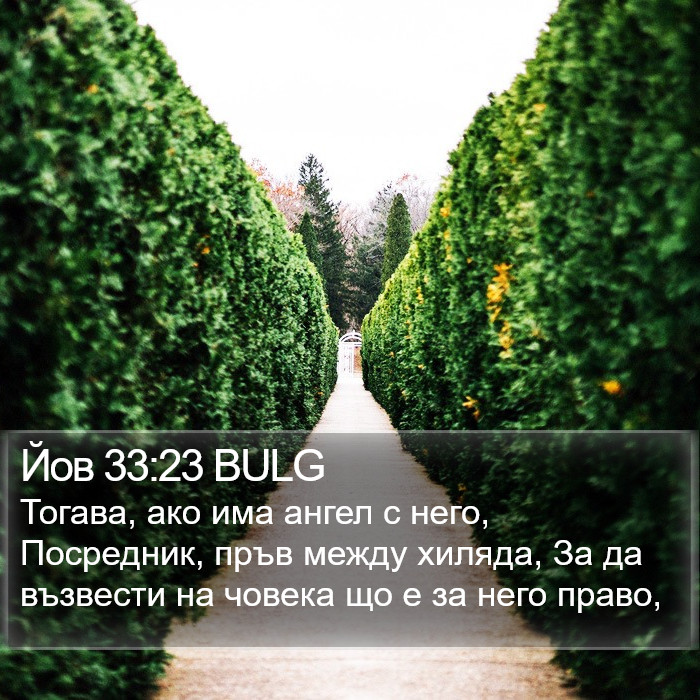 Йов 33:23 BULG Bible Study