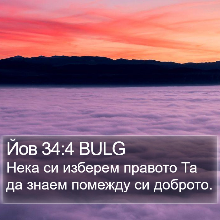 Йов 34:4 BULG Bible Study