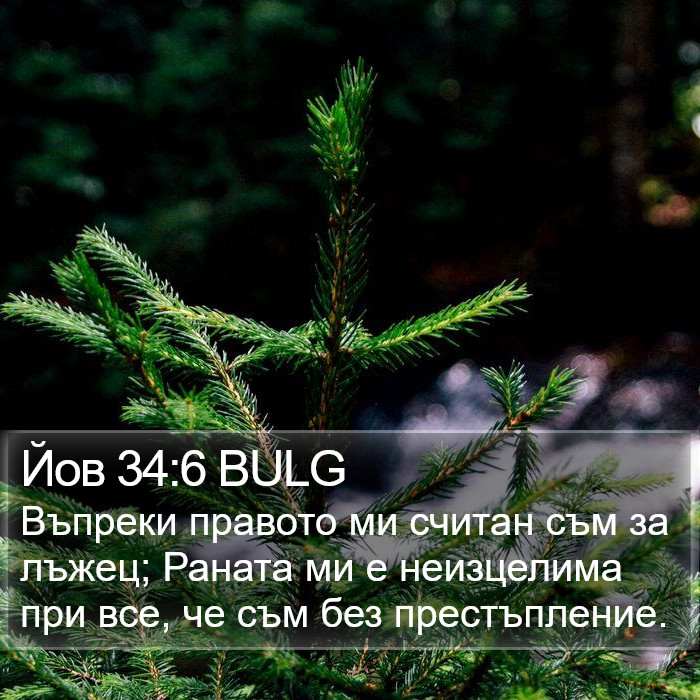 Йов 34:6 BULG Bible Study