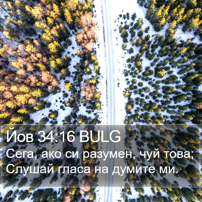 Йов 34:16 BULG Bible Study