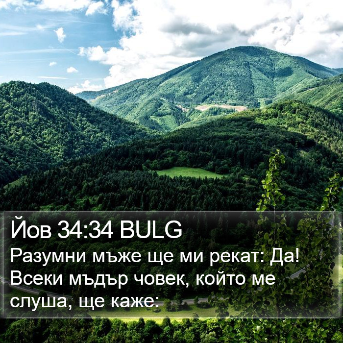 Йов 34:34 BULG Bible Study