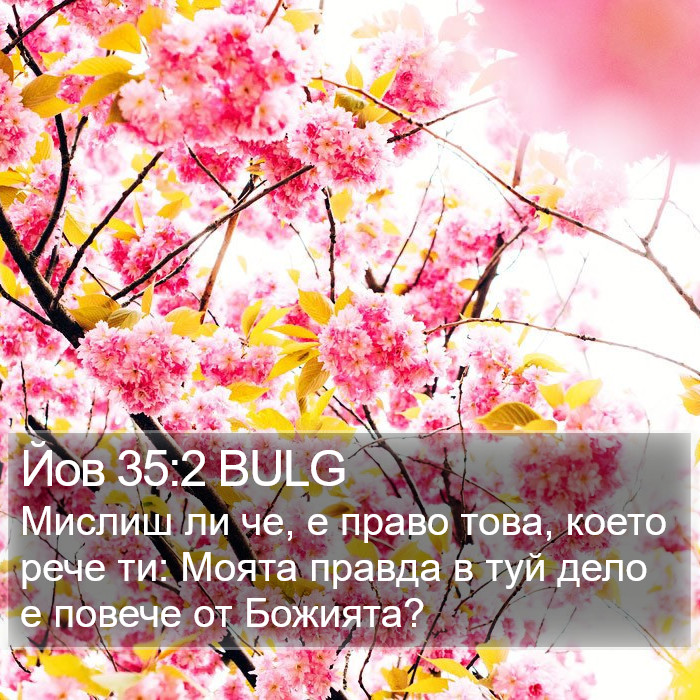 Йов 35:2 BULG Bible Study