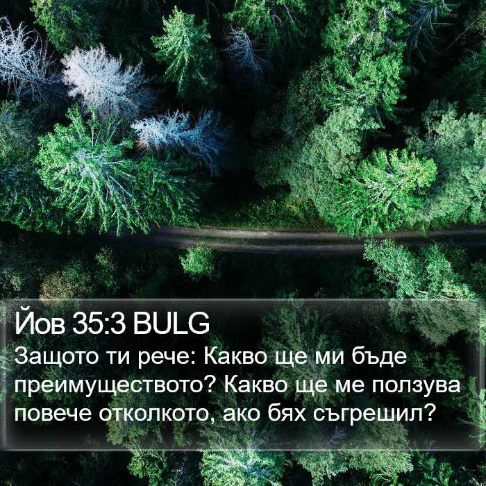 Йов 35:3 BULG Bible Study