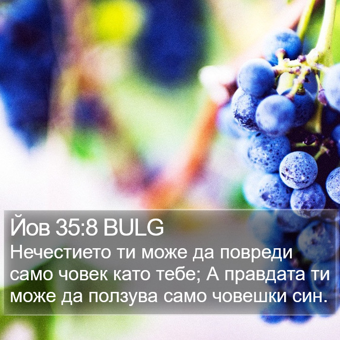 Йов 35:8 BULG Bible Study