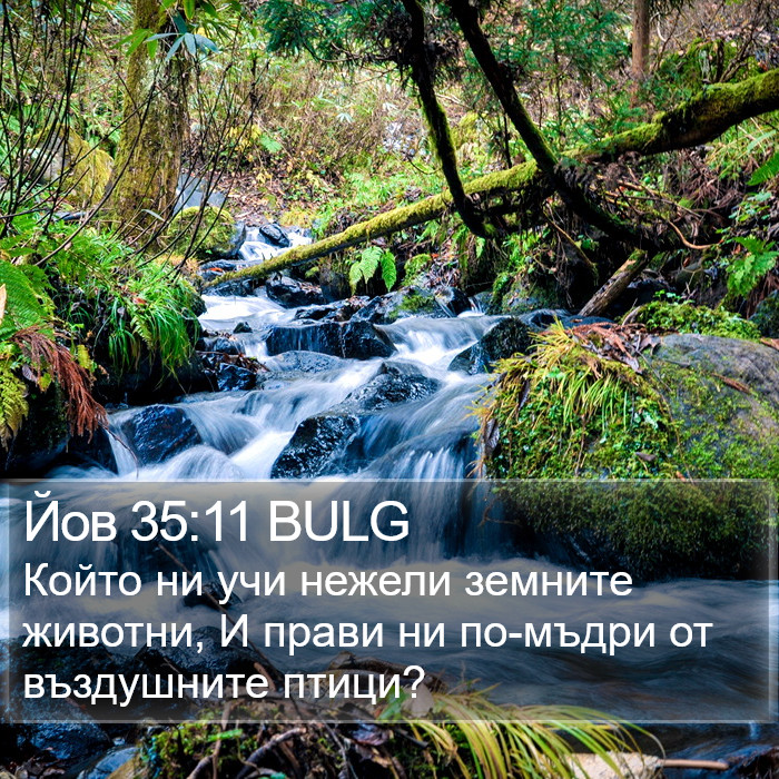 Йов 35:11 BULG Bible Study