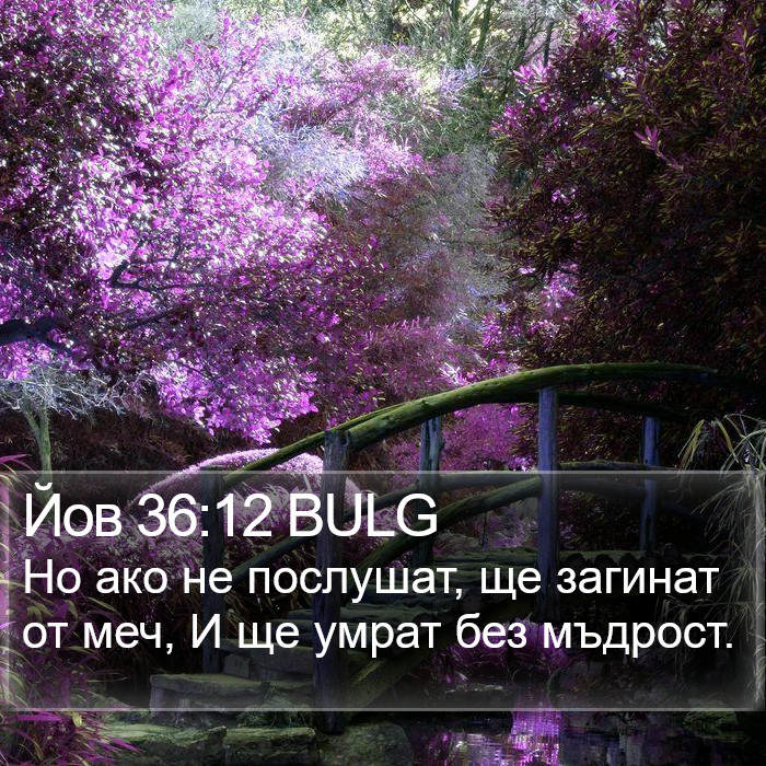 Йов 36:12 BULG Bible Study