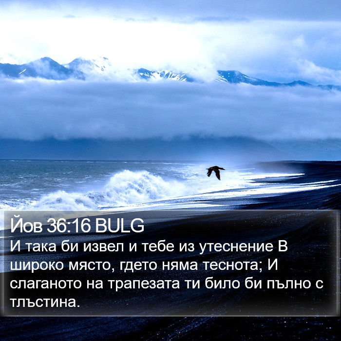 Йов 36:16 BULG Bible Study