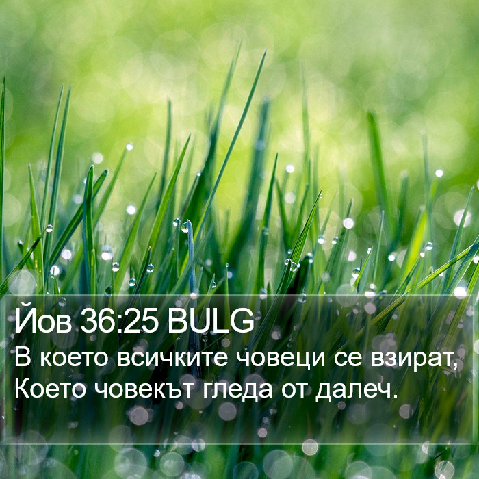 Йов 36:25 BULG Bible Study