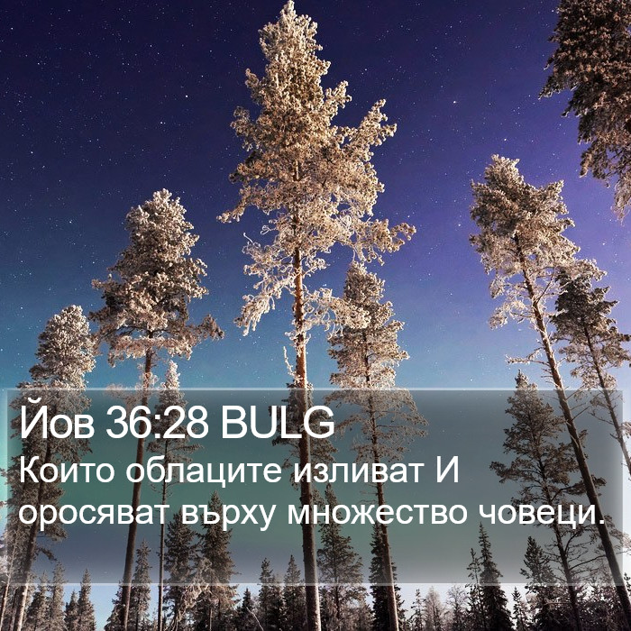 Йов 36:28 BULG Bible Study