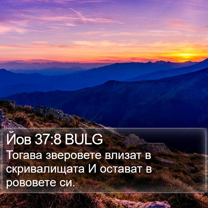 Йов 37:8 BULG Bible Study