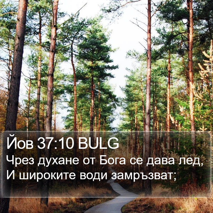 Йов 37:10 BULG Bible Study