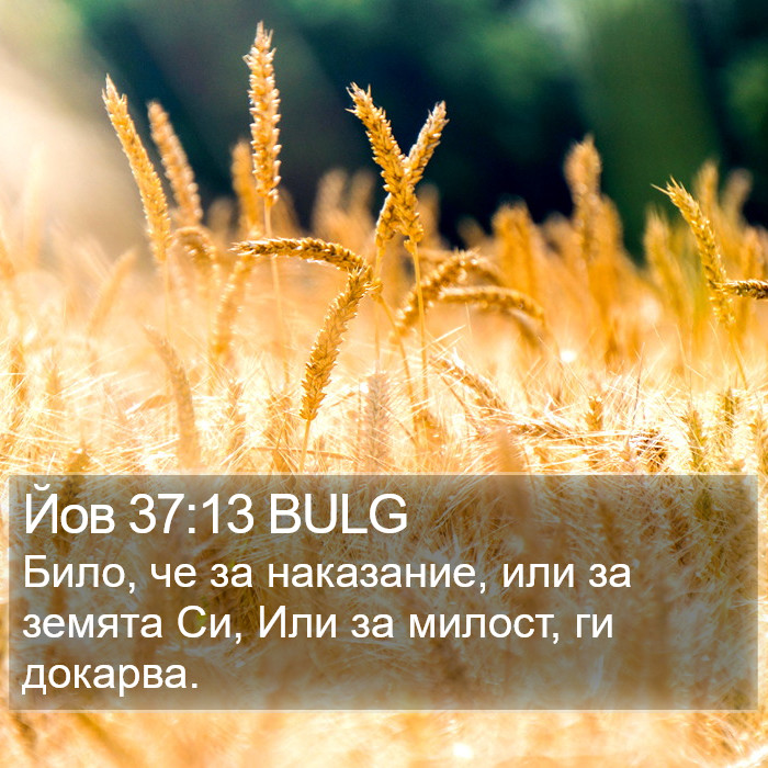 Йов 37:13 BULG Bible Study