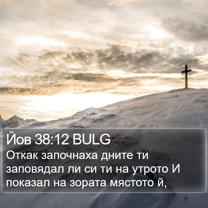 Йов 38:12 BULG Bible Study