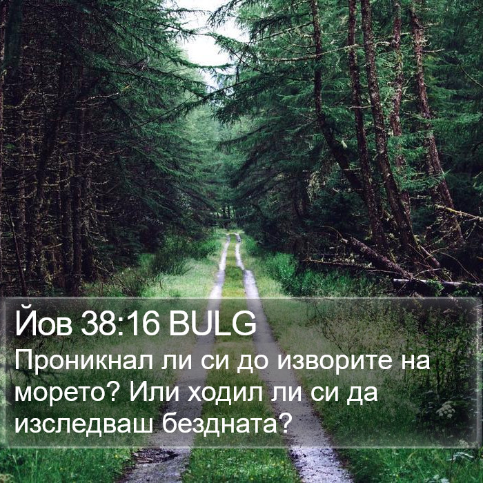 Йов 38:16 BULG Bible Study